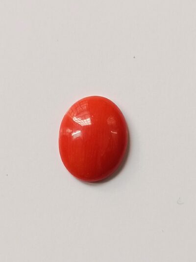 Buy Natural Red Coral (Moonga)